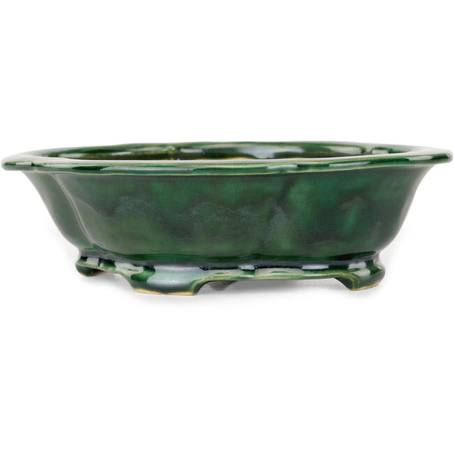 Mokko grüner Bonsaitopf von Seizan - 180 x 155 x 55 mm