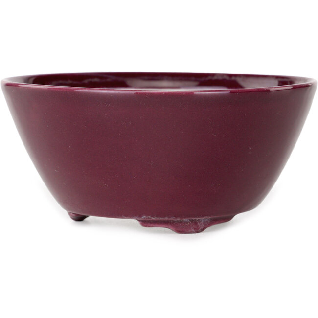 Pot à bonsaï rond violet de Seifu - 140 x 140 x 65 mm
