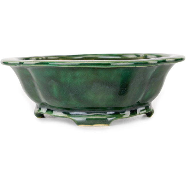 Pot à bonsaï vert Mokko de Seizan - 180 x 155 x 55 mm