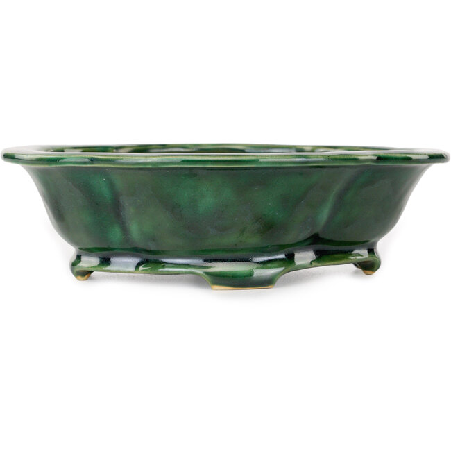 Pot à bonsaï vert Mokko de Seizan - 180 x 155 x 55 mm