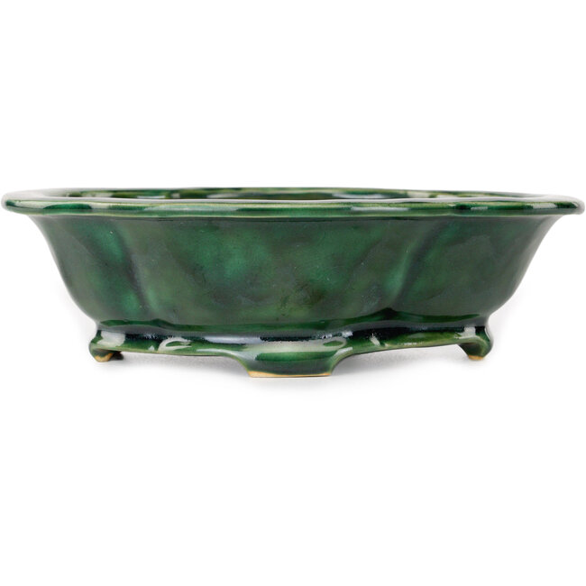 Mokko green bonsai pot by Seizan - 180 x 155 x 55 mm