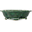Mokko grüner Bonsaitopf von Seizan - 180 x 155 x 55 mm