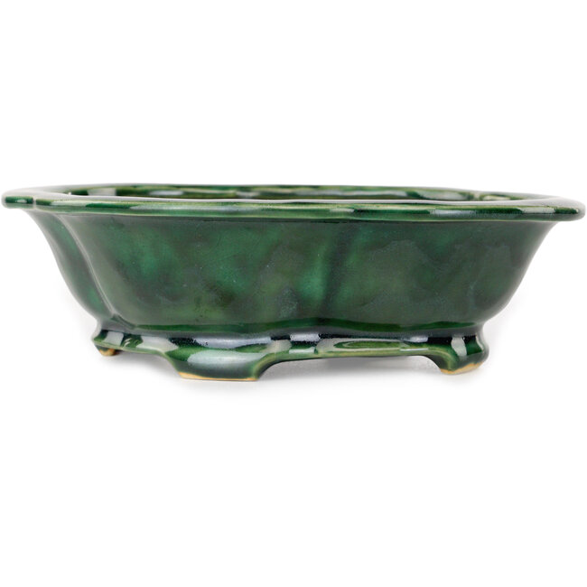 Mokko green bonsai pot by Seizan - 180 x 155 x 55 mm