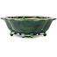 Mokko grüner Bonsaitopf von Seizan - 180 x 155 x 55 mm