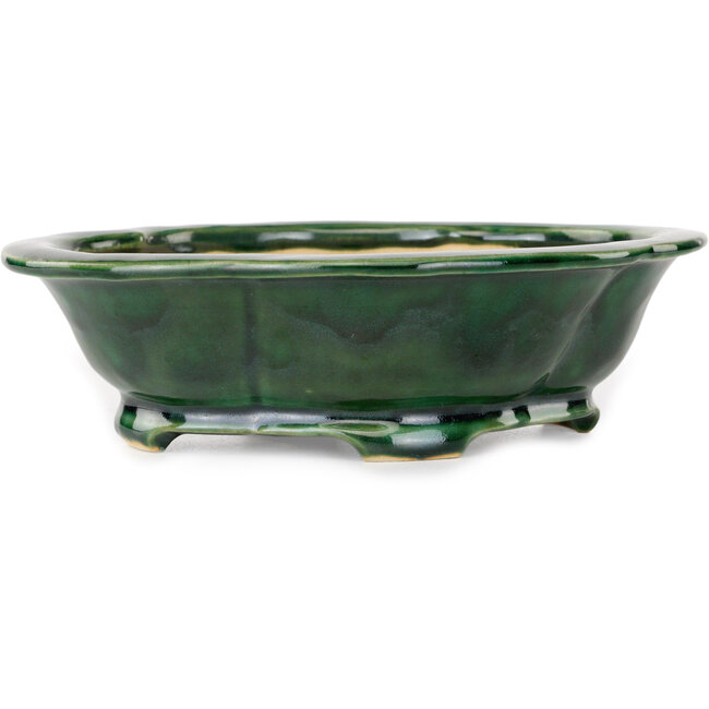 Mokko grüner Bonsaitopf von Seizan - 180 x 155 x 55 mm