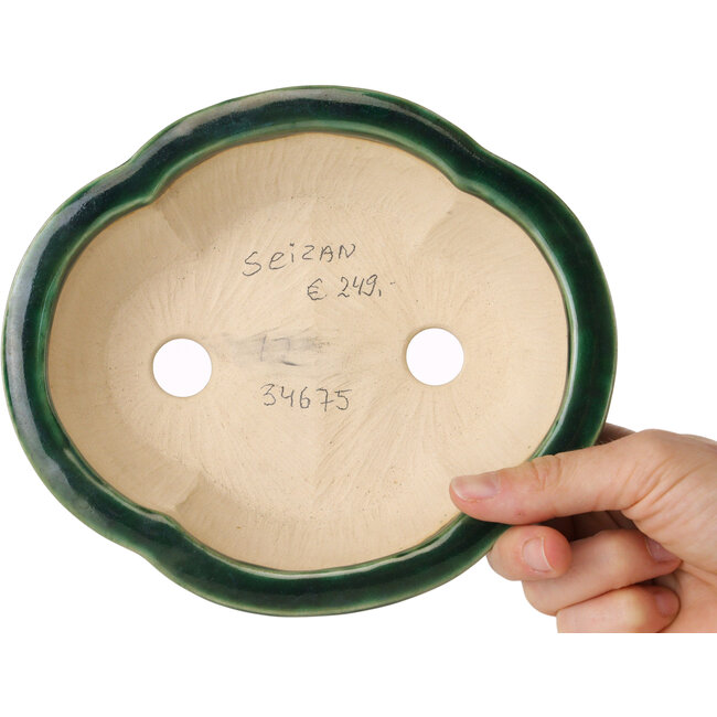 Maceta para bonsái verde Mokko de Seizan - 180 x 155 x 55 mm