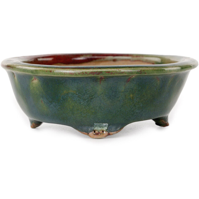 Pot à bonsaï ovale vert par Heian Kosen - 135 x 110 x 40 mm