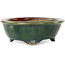 Oval green bonsai pot by Heian Kosen - 135 x 110 x 40 mm