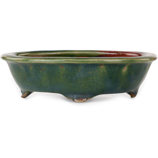 Vaso bonsai ovale verde di Heian Kosen - 135 x 110 x 40 mm