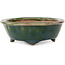 Oval green bonsai pot by Heian Kosen - 135 x 110 x 40 mm