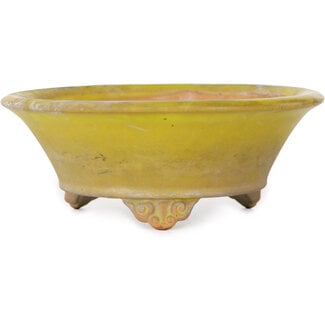 Bigei - Hirata Atsumi 130 mm  yellow bonsai pot by Bigei, Tokoname, Japan