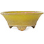 Round yellow bonsai pot by Bigei - 130 x 130 x 50 mm