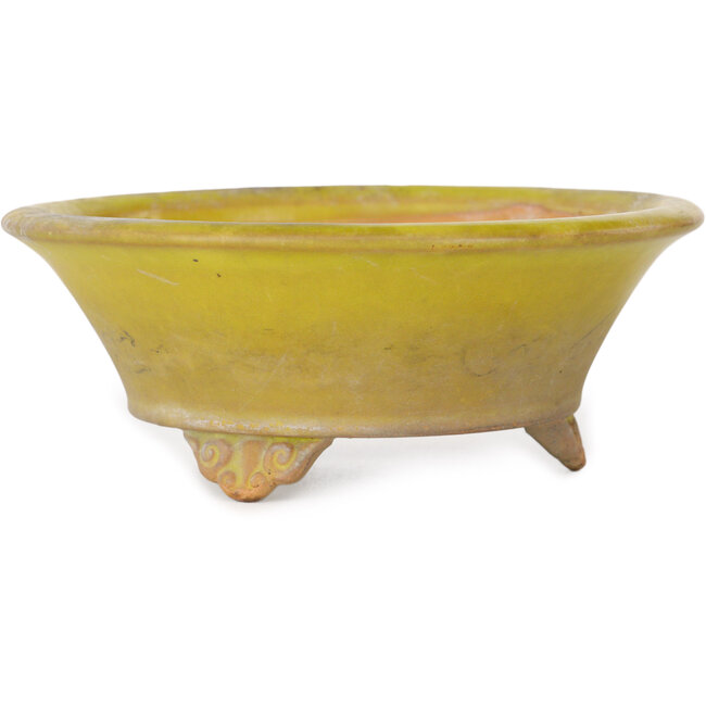 Maceta redonda amarilla para bonsái de Bigei - 130 x 130 x 50 mm