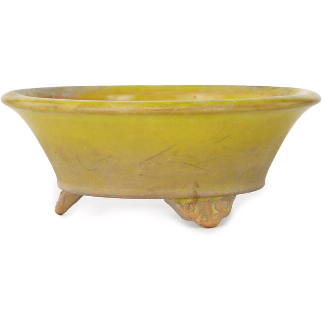 Maceta redonda amarilla para bonsái de Bigei - 130 x 130 x 50 mm