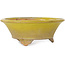 Round yellow bonsai pot by Bigei - 130 x 130 x 50 mm