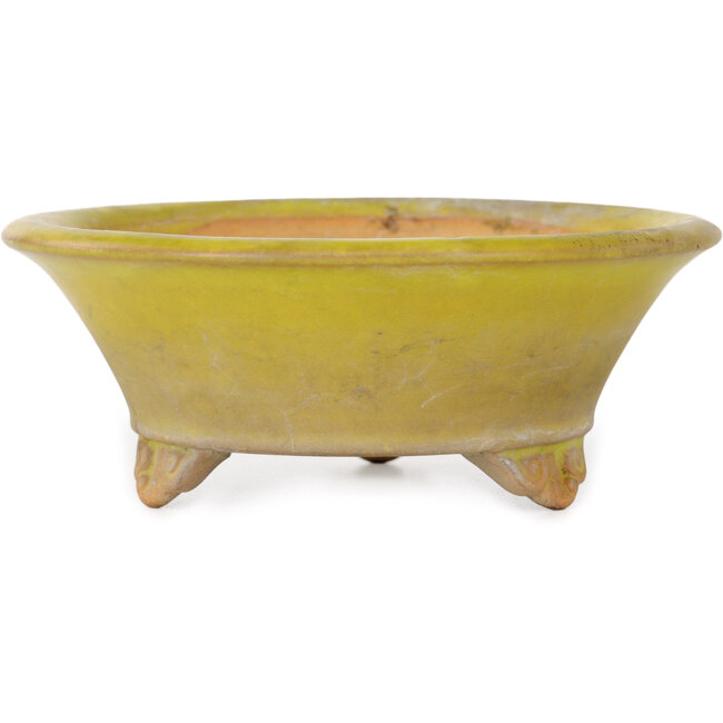 Maceta redonda amarilla para bonsái de Bigei - 130 x 130 x 50 mm