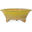 Round yellow bonsai pot by Bigei - 130 x 130 x 50 mm