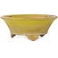 Round yellow bonsai pot by Bigei - 130 x 130 x 50 mm