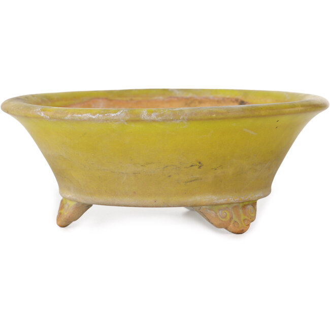 Maceta redonda amarilla para bonsái de Bigei - 130 x 130 x 50 mm