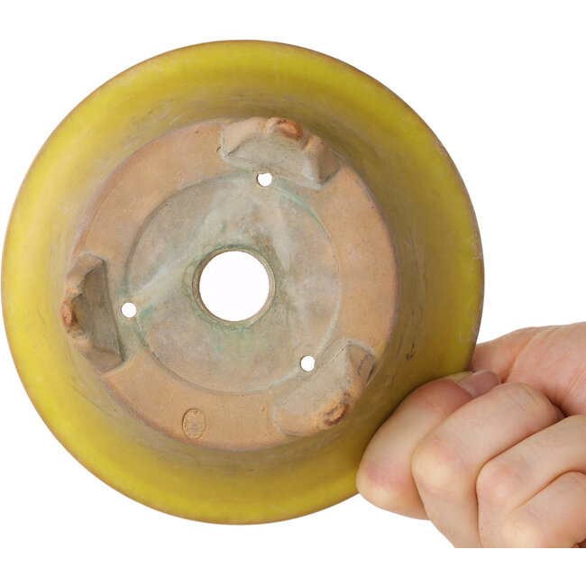 Maceta redonda amarilla para bonsái de Bigei - 130 x 130 x 50 mm