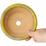 Maceta redonda amarilla para bonsái de Bigei - 130 x 130 x 50 mm