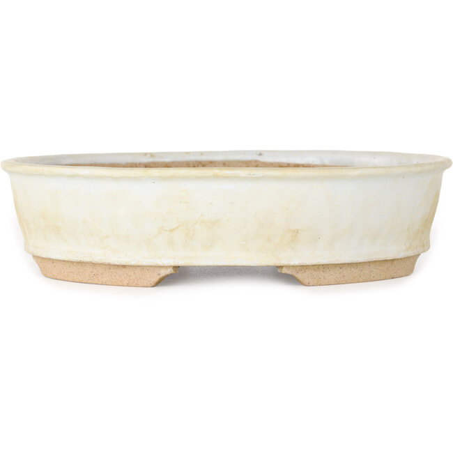 Oval white bonsai pot - 190 x 170 x 45 mm
