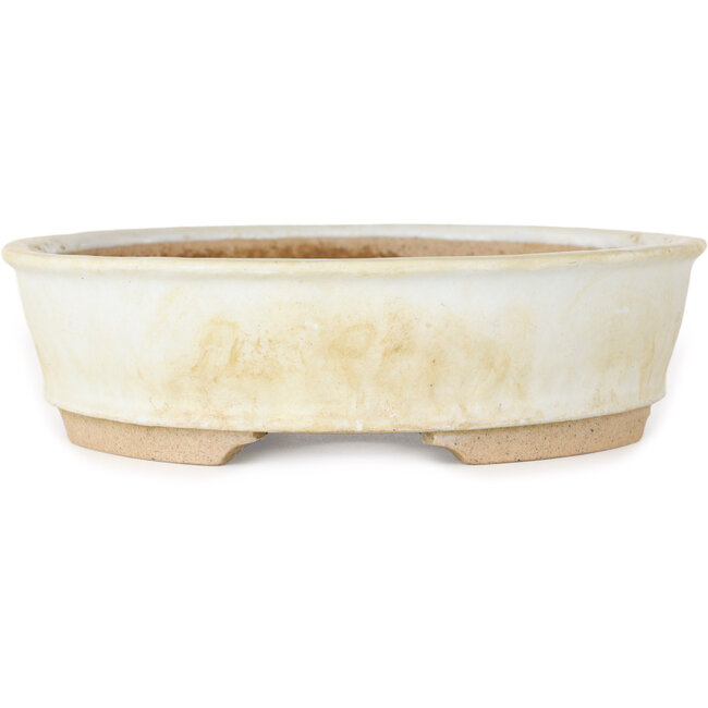 Pot à bonsaï ovale blanc - 190 x 170 x 45 mm