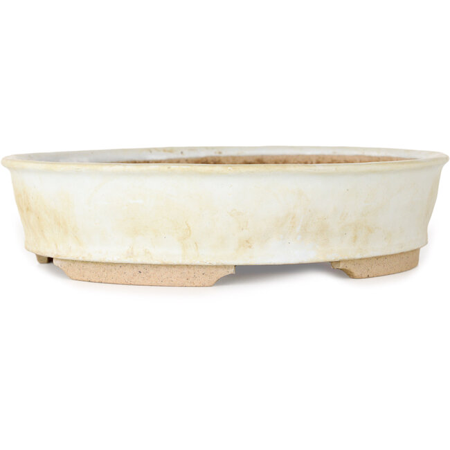 Maceta ovalada blanca para bonsái - 190 x 170 x 45 mm