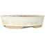 Oval white bonsai pot - 190 x 170 x 45 mm