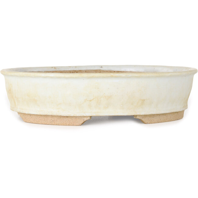 Pot à bonsaï ovale blanc - 190 x 170 x 45 mm