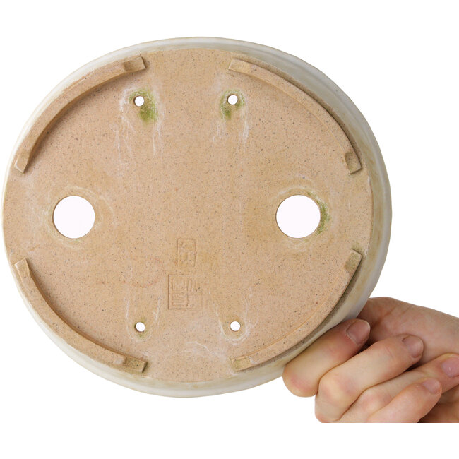 Ovale witte bonsaipot - 190 x 170 x 45 mm