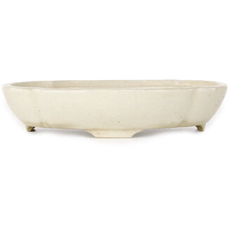 Haruyoshi Maceta de bonsái blanca de 180 mm de Haruyoshi, Japón