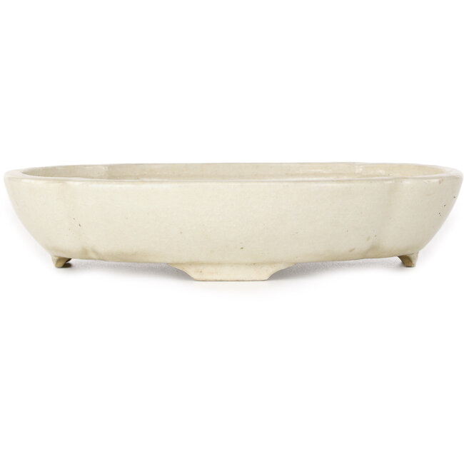 Maceta ovalada blanca para bonsái de Haruyoshi - 180 x 155 x 40 mm