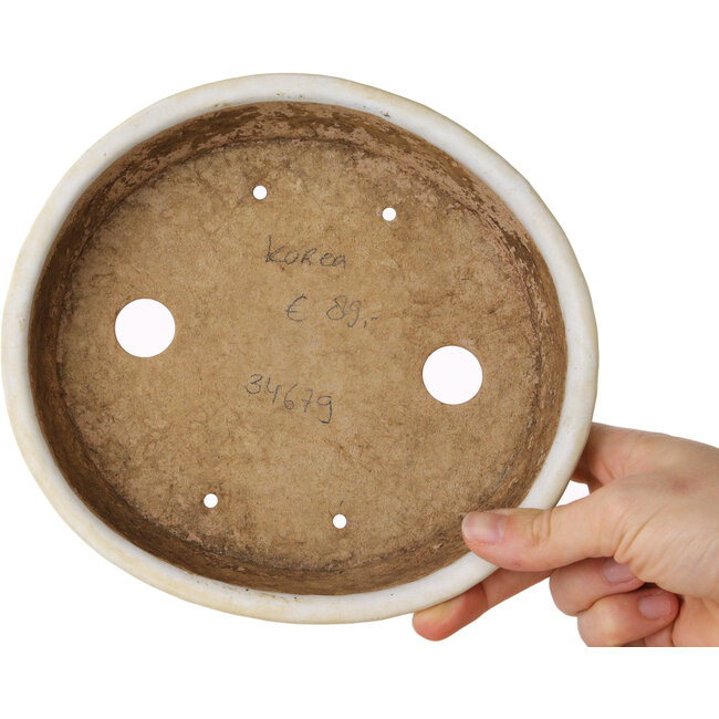 Oval white bonsai pot - 190 x 170 x 45 mm