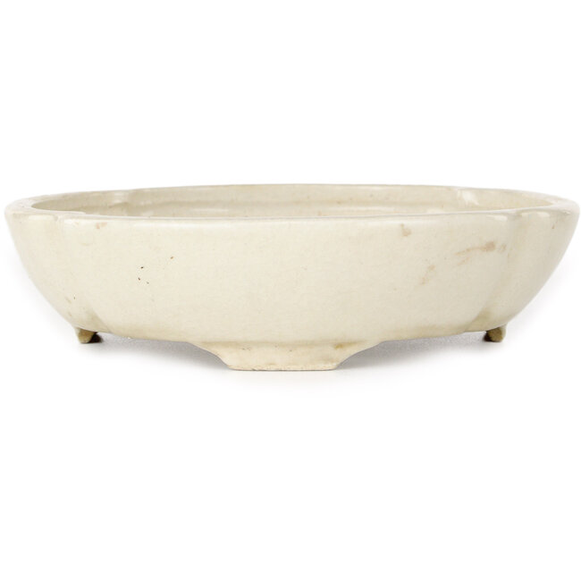 Pot à bonsaï ovale blanc par Haruyoshi - 180 x 155 x 40 mm