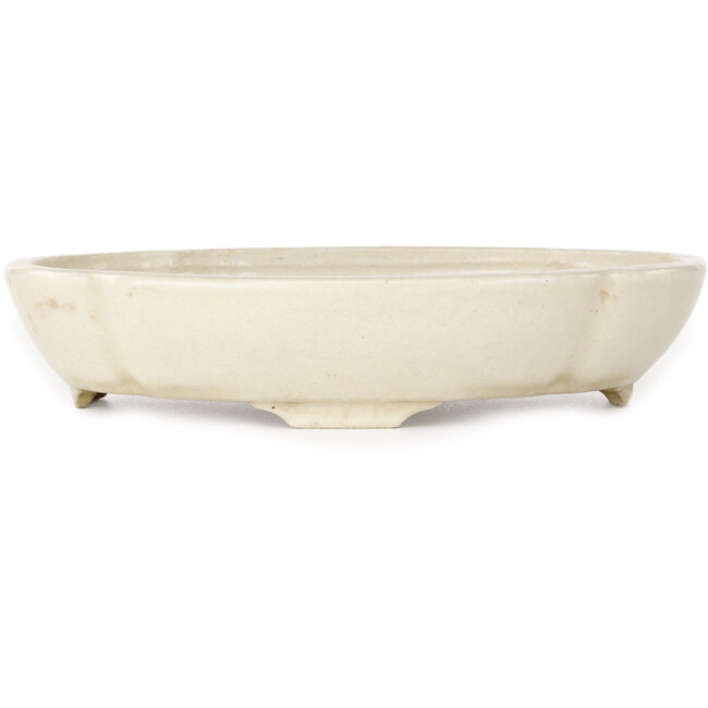 Pot à bonsaï ovale blanc par Haruyoshi - 180 x 155 x 40 mm