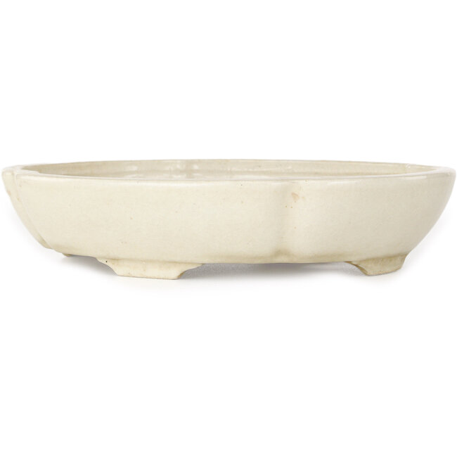 Pot à bonsaï ovale blanc par Haruyoshi - 180 x 155 x 40 mm