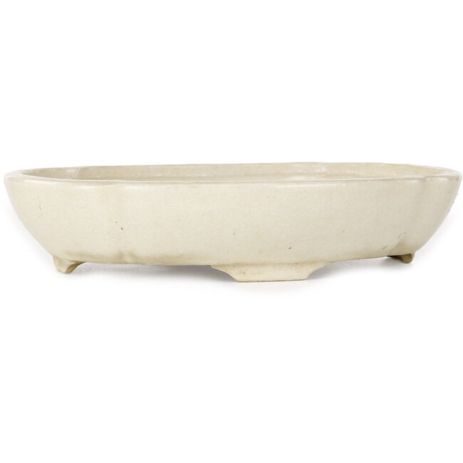 Ovale witte bonsaipot van Haruyoshi - 180 x 155 x 40 mm