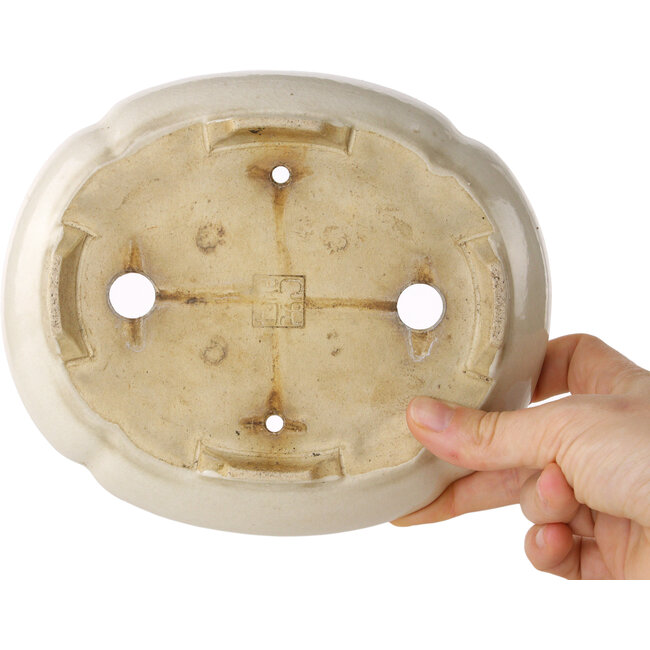 Pot à bonsaï ovale blanc par Haruyoshi - 180 x 155 x 40 mm