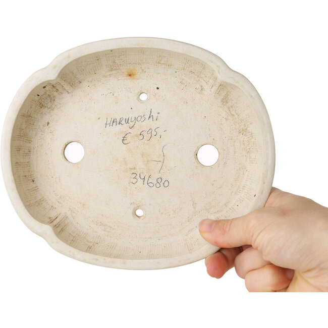 Ovale witte bonsaipot van Haruyoshi - 180 x 155 x 40 mm