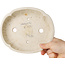 Ovale witte bonsaipot van Haruyoshi - 180 x 155 x 40 mm