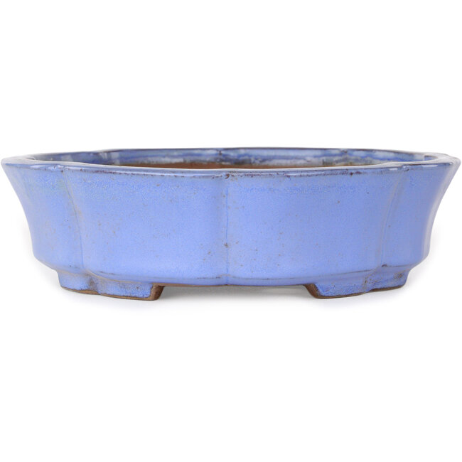 Lotus blue bonsai pot by Shibakatsu - 192 x 192 x 53 mm