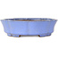 Lotus blue bonsai pot by Shibakatsu - 192 x 192 x 53 mm