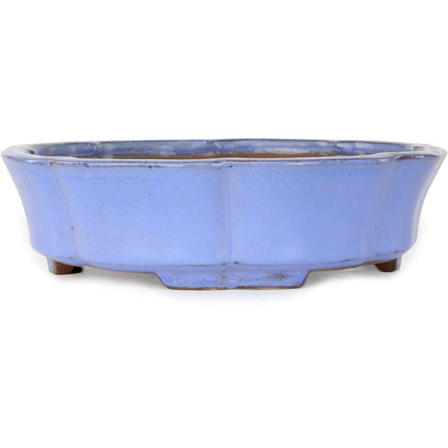 Lotus blue bonsai pot by Shibakatsu - 192 x 192 x 53 mm