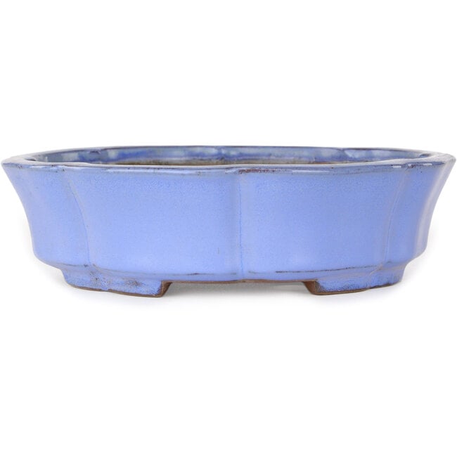 Lotus blue bonsai pot by Shibakatsu - 192 x 192 x 53 mm