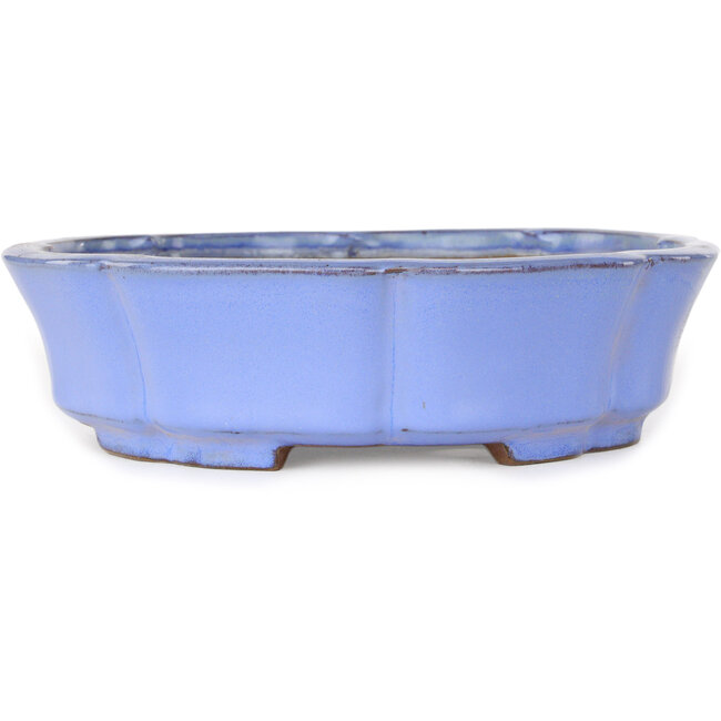 Pot à bonsaï Lotus bleu par Shibakatsu - 192 x 192 x 53 mm