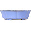 Vaso bonsai blu loto di Shibakatsu - 192 x 192 x 53 mm