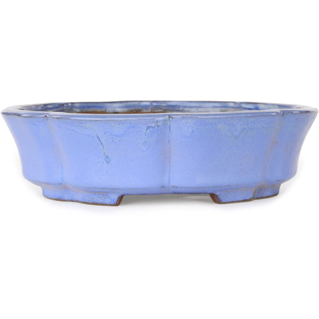 Lotus blue bonsai pot by Shibakatsu - 192 x 192 x 53 mm