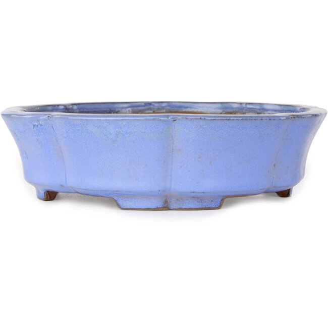 Maceta de bonsái azul loto de Shibakatsu - 192 x 192 x 53 mm