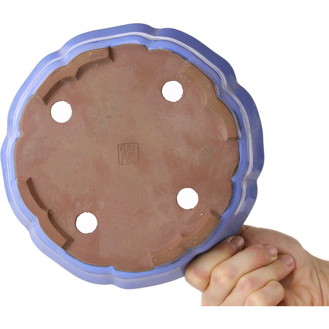 Maceta de bonsái azul loto de Shibakatsu - 192 x 192 x 53 mm